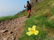 Laghi di Ponteranica dai Piani dell’Avaro con splendide fioriture – 9 giugno 25 - FOTOGALLERY